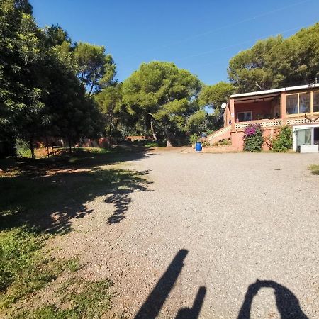 Bed and Breakfast Relais Pollo Loco Gilet Exterior foto