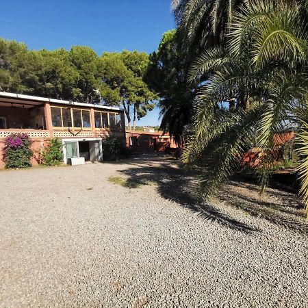 Bed and Breakfast Relais Pollo Loco Gilet Exterior foto
